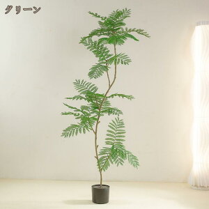 ^tFCNO[ WJ_̖ lHϗtA A sv ygȂ Q̐SzȂ jp z JX J bȂ A {  CeA IV