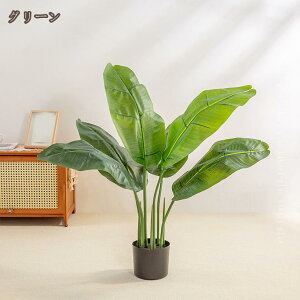 tFCNO[ Ɋy  c[ lHϗtA ^ sv ȒP  lHA   ItBX  p CeA  J^ A A K̖ lH