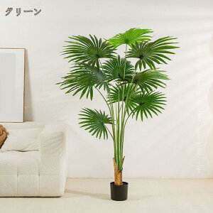 lHϗtA V̖ K̖  ϗt 킩Ȃ ygȂ CeA  b炸 sv ItBX z[ fR[V tFCNO[  ^  Lb`