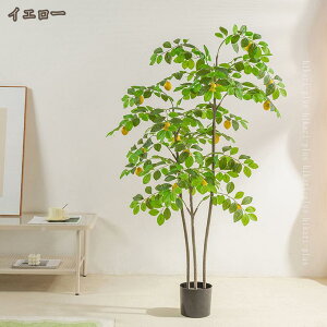 ^tFCNO[ ̖ lHϗtA A sv ygȂ Q̐SzȂ jp z JX J bȂ A {  CeA IV  