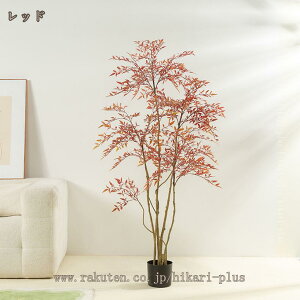 tFCNO[ ou[ |  c[ lHϗtA ^ sv ȒP  lHA   ItBX  p CeA  J^ A A K̖ lH