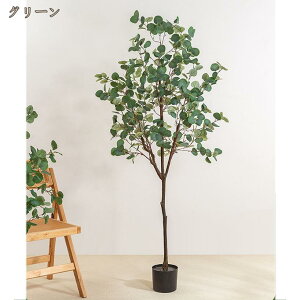 777�~OFF�N�[�|�� ��^�t�F�C�N�O���[�� ���[�J�� �l�H�ϗt�A�� ���A�� �����s�v �y���g��Ȃ� ���Q�̐S�z�Ȃ� ���j���p ���z�� �J�X �J�� ���b���Ȃ� �A�� �{���������� ���� �C���e���A 