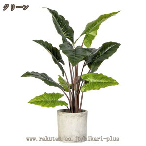 ϗtA Xe JXj Vzj p ^ 蕨 a v[g zj CeA Vv _ IV ȐAؔ ItBX X  Ύ  tF