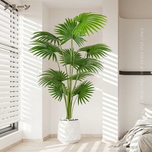 ϗtA V̖ JXj Vzj p ^ 蕨 a v[g zj CeA Vv _ IV ȐAؔ ItBX X  Ύ  tFC