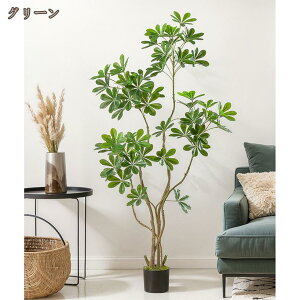 ϗtA ^ VFt Ύ tFCNO[  A lHϗt Vv TCY CeA ɋ  Vzj j j Vv A sv b