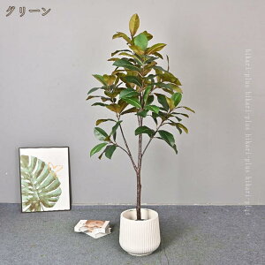 xW~   lHϗtA  sv ygȂϗtA Q̐SzȂ CeAO[ ϗtA Ύ  gC rO  ʏ j Mtg 