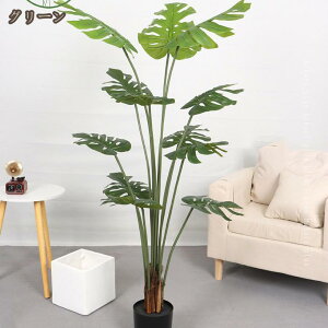 a ϗtA Xe A sv R tFCNO[ tFCN lHϗtA  p Bep CeA lHA fR[V z[ x_ CeAO[ v