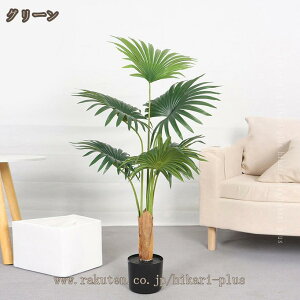 a ϗtA V̖ A sv R tFCNO[ tFCN lHϗtA  p Bep CeA lHA fR[V z[ x_ CeAO[ v