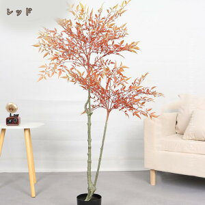 tFCNO[ ou[ | tFCNA ^ ϗt {  O CeA  rO ItBX  ϗtA tFCN lHϗtA A A sv Q