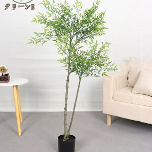 tFCNO[ ou[ | tFCNA ^ ϗt {  O CeA  rO ItBX  ϗtA tFCN lHϗtA A A sv Q