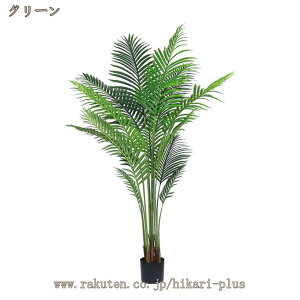 CeAO[  ϗtA ͂ȂO[ tFCNO[ AJV lHA A 킢  ^ ϗA ȒP sv Q쏜sv  Mtg v[