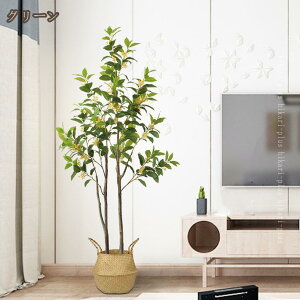 ϗtA tFCNO[ Aؔ ^ ؍҂̖ lHϗtA tFCN  킢 p  xbh[ rO[ ItBX  CeA b炸 sv Q