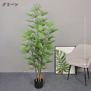 lHA ϗtA  A tFCNO[ A rO L hL V̖ k  v[g CeA A Ύ ϏܐA { p Bep  j 