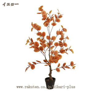 CeAO[  ϗtA ͂ȂO[ tFCNO[ [J lHA A 킢  ^ ϗA ȒP sv Q쏜sv  Mtg v[