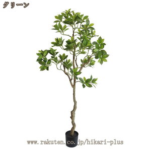 ϗtA tFCNO[ Aؔ ^ xW~ lHϗtA tFCN  킢 p  xbh[ rO[ ItBX  CeA b炸 s