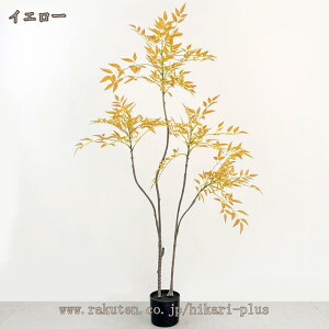 tFCNO[ ou[ ^  A AK̖ O  CeA  rO  ItBX j ϗtA sv lHϗtA lHϗt 傫 ze 