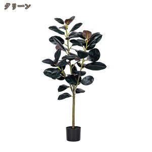 S̖ tFCNO[ ϗtA tFCN  lHϗtA ^ J^  ze CeA A  j    c ItBX  Vv R L ϗt h