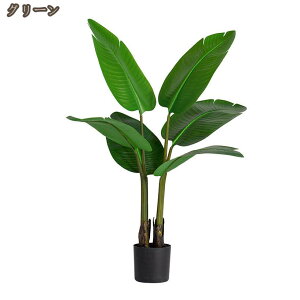 Xg`A ϗtA { Ύ ͂ȂO[  CeA  zj JXj ړ]j j Q̐SzȂ bȂ ItBX Mtg v[g 