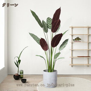 1000�~OFF�N�[�|�� �ϗt�A�� �t�F�C�N�O���[�� ��^ �����X�e�� ���A�� ������� ���A�� �v���[���g �C���e���A �l�H�ϗt�A�� ����p �B�e�p �������� ���� �傳�� ���j�� �����s�v �͂�Ȃ�