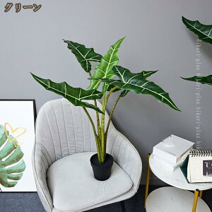 Xe lHϗtA ^ tFCNO[  A v[g CeA A K̖ ϗt  ސE o^Cf[ ̓  hL R sv QSz