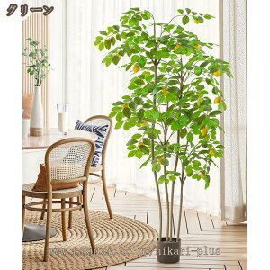 lH ϗtA tFCNO[ ̖ ^  Vzj zj CeA { tFCNA sv ͂Ȃ ~͐A Vzj ̓ ̓ v[g Mt