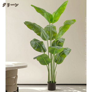 tFCNO[ Xg`AEMl K̖ sv ͂Ȃ QȂ lHϗtA ϗt JXj JƏj   ^ 傳  ʏ  gC 