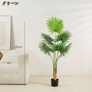 lH ϗtA tFCNO[ V̖ p[ ^  Vzj zj CeA { tFCNA sv ͂Ȃ ~͐A Vzj ̓ ̓ v[g 