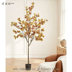 [J  ^ lHA tFCNO[ lHϗtA ɒuA ItBX  sv CeA  J^ ϗA ϗt JtF A j j JX