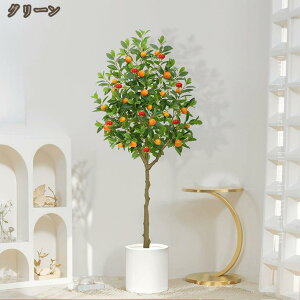 ~J̖ lHϗtA { K̖ ^ ȒP Q̐SzȂ tFCNO[ JXj zj Vzj Mtg v[g p   ϗt  