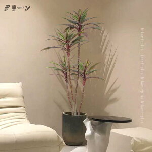 tFCNO[ lHϗtA hZi  K̖ A A sv CeA Ƃ̒ɒu z[  Lb` ItBX  bȂ sv ϗt  v