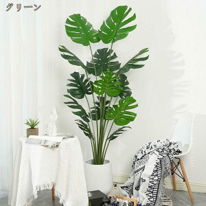 Xe lHϗtA { K̖ ^ ȒP Q̐SzȂ tFCNO[ JXj zj Vzj Mtg v[g p   ϗt  