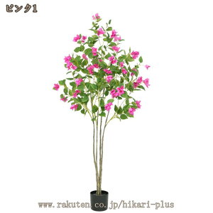 lH ϗtA 썑̉ ^ tFCNO[  ϏܐA lH tFCNA CeA  O sv ͂Ȃ ԃc[ ꂢ fG  ItBX lH~ 