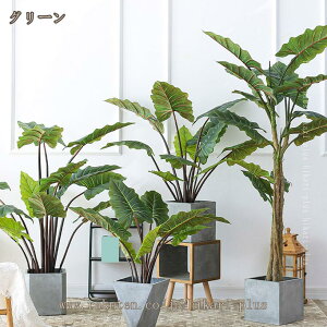 NYC tFCNO[ ϗtA ^ p  A  ȒPb ItBX Q ze r[  rO sv ͂Ȃ ~͐A lH tFCNA lHϗt