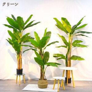 lHϗtA m  K̖ tFCNO[ Ύ  ܂ CeA ϗA ^ bsv sv Q̐SzȂ ϗt ~͐A tFCNϗtA a m I