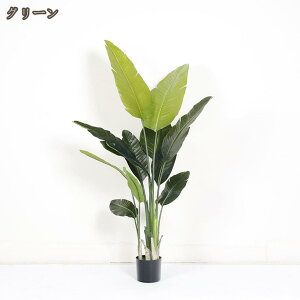 777�~OFF�N�[�|�� �X�g�����`�A�E���M�l �t�F�C�N�O���[�� �ϗt�A�� ��^ �����p ���� ���A�� ���� �ȒP���b �I�t�B�X �Q�� �z�e�� ���r�[ ���� ���r���O �����s�v �͂�Ȃ� �~�͐A�� �l�H��