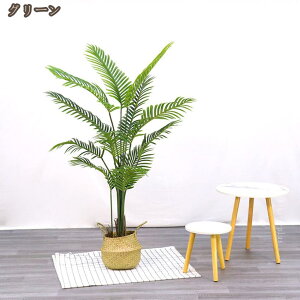 lHϗtA AJV  K̖ tFCNO[ Ύ  ܂ CeA ϗA ^ bsv sv Q̐SzȂ ϗt ~͐A tFCNϗtA a 