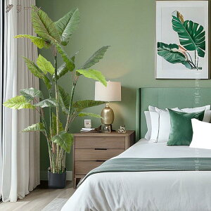 tFCNO[ NYC A ϗtA tFCN K̖ ^ lHϗtA  CeA  ItBX   sv ԕ Q̐SzȂ Rȗt ϗt 