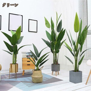 tFCNɊy lH b炸 A ͂Ȃ sv tFCNO[  j Ղ Mtg 蕨 lHϗtA  CeA 킢 { lH  