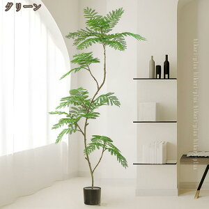 WJ_̖ lHϗtA sv CeAO[ ~͐A      tFCNO[ t t S  lHϗt Aؔ rO  Q 