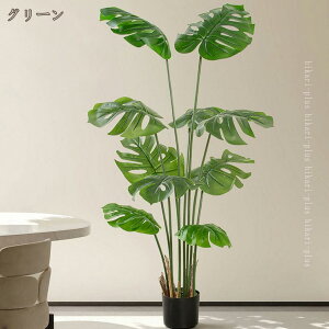 Xe tFCNO[ lHϗtA ϗt  bȂ sv { A  z[  ItBX CeA  Vv A er  O