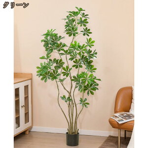 lH ϗtA tFCNO[ xW~ ^  Vzj zj CeA { tFCNA sv ͂Ȃ ~͐A Vzj ̓ ̓ v[g M