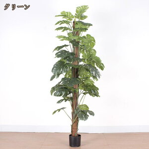 Xe tFCNO[ lHϗtA ϗt  bȂ sv { A  z[  ItBX CeA  Vv A er  O