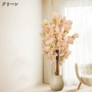 lHϗtA 傫 { ډB tFCNO[ ^ z[ItBXp {  ϗtA lHA ϗt ȒPb炸 ͂Ȃ f[ K[fjO 뉀