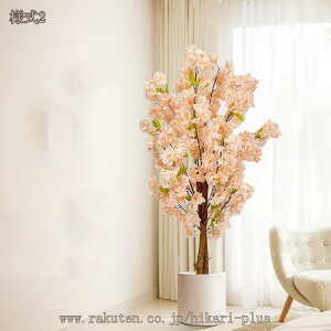 ^ϗtA tFCNc[ tFCNO[ lHϗtA ^ sṽz[ Q̐SzȂ ȒPb炸 ȒP A  X u A fR[V ցE