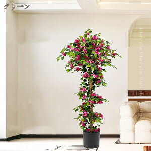 lH ^ lHϗtA Ԋϗt Op tFCNO[ 傫ȐlHc[ Ύ A O|[` peBI K[f z[ ItBXp rO xbh[ JtF 