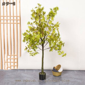 lHϗtA tFCNO[ 140cm ԃO[ ^ A U̖ lHAc[ rO[ Q  ze O  AEghA lH ГW  {