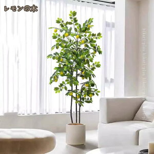 tFCNO[ lHϗtA lH ϗtA  ^ ϗt A A  ItBX 뉀 Ȏ CeA p ȒP sv Q̐SzȂ R