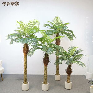 tFCNO[ ^ϗtA k lHϗtA tFCNϗtA CeA  O sv ͂Ȃ ~͐A 傫 A { X /O z[ K[f 