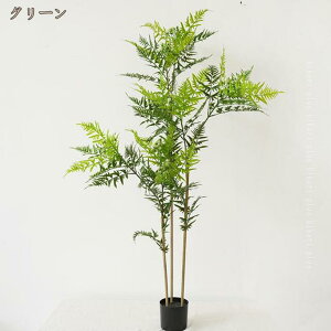 tFCNO[ CeAO[ lH ϗtA tFCN CeA ₷ sv Q쏜sv ɖ̋Ԃ  JtF    ƒ v[