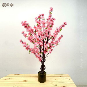  sN  tFCNO[ A lH ϗtA ϗt tFCN O[ CeA  rO ItBX  傫 A A 킢 ̓ ̓ a v